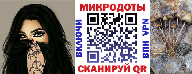 гидра ссылки  Судак  Галлюциногенные грибы Psilocybine cubensis  купить наркотик 