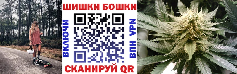 закладки  Судак  мега онион  Канабис индика 
